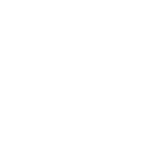 icon sứ mệnh