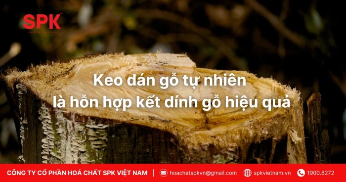 Keo Dán Gỗ Tự Nhiên Là Hỗn Hợp Kết Dính Gỗ Hiệu Quả
