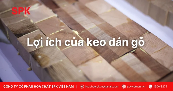 Lợi ích Của Keo Dán Gỗ